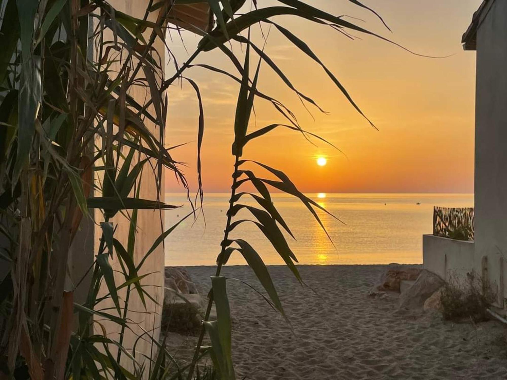 Pavillon 6 Pers A Argeles-Sur-Mer: Piscine, Clim, Parking, Wifi, Proche Plage - Fr-1-776-5 Dış mekan fotoğraf