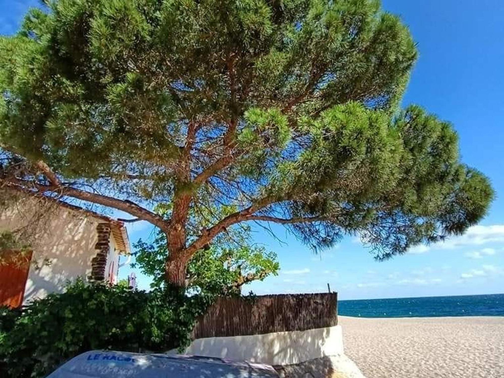 Pavillon 6 Pers A Argeles-Sur-Mer: Piscine, Clim, Parking, Wifi, Proche Plage - Fr-1-776-5 Dış mekan fotoğraf